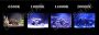 3W Óceán kék 14000K Power LED akvárium LED,tengeri akváriumhoz