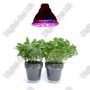 LuxEria Herb 12W Virágzás elősegítő LED lámpa PAR38 E27 660nm:460nm 3:1i