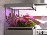 Gyógynövényekhez - Fűszernövényekhez LED világítás