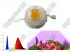 1W Power LED FULL SPEKTRUM 400-840nm növényes LED, palántához,virághoz,bármilyen növényhez 1W Power LED FULL SPEKTRUM 400-840nm növényes LED, palántához,virághoz,bármilyen növényhez