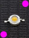 1W Power LED pink 110 Lumen 1500-1600K 1W Power LED pink 110 Lumen 1500-1600K
