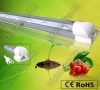 RainBow 20W LED Full Spektrumú fénycső IP44 120cm RainBow 20W LED Full Spektrumú fénycső IP44 120cm